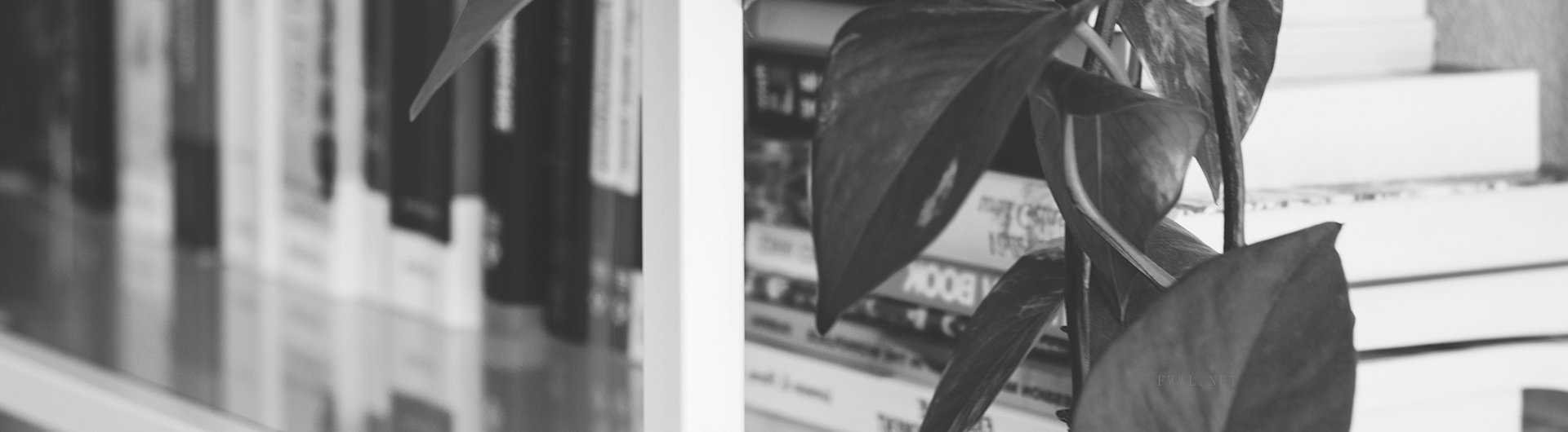 联系派维特个性化打造